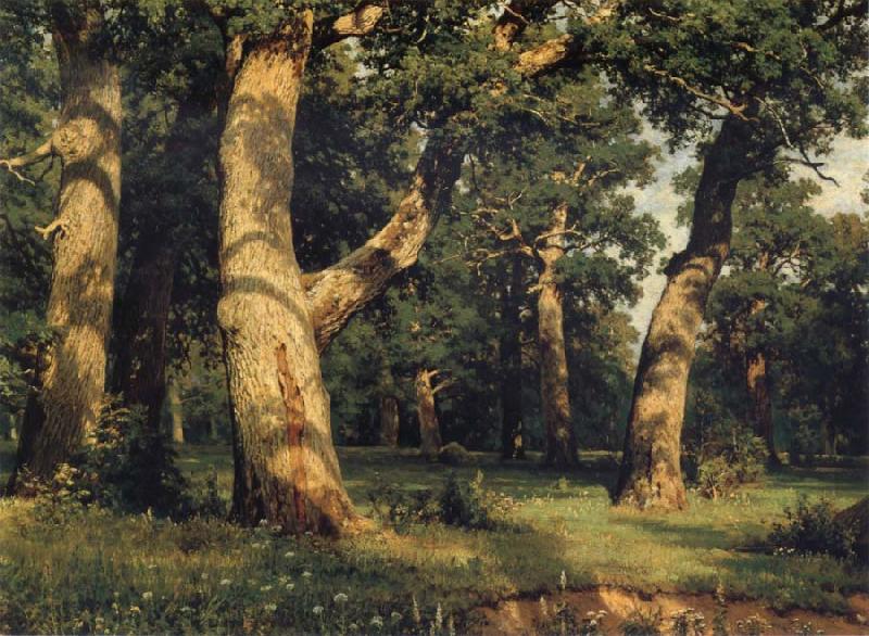 Ivan Shishkin Oak of the Forest oil painting picture